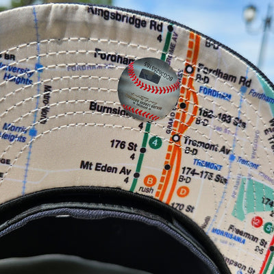 DSNY NY Yankees